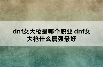 dnf女大枪是哪个职业 dnf女大枪什么属强最好